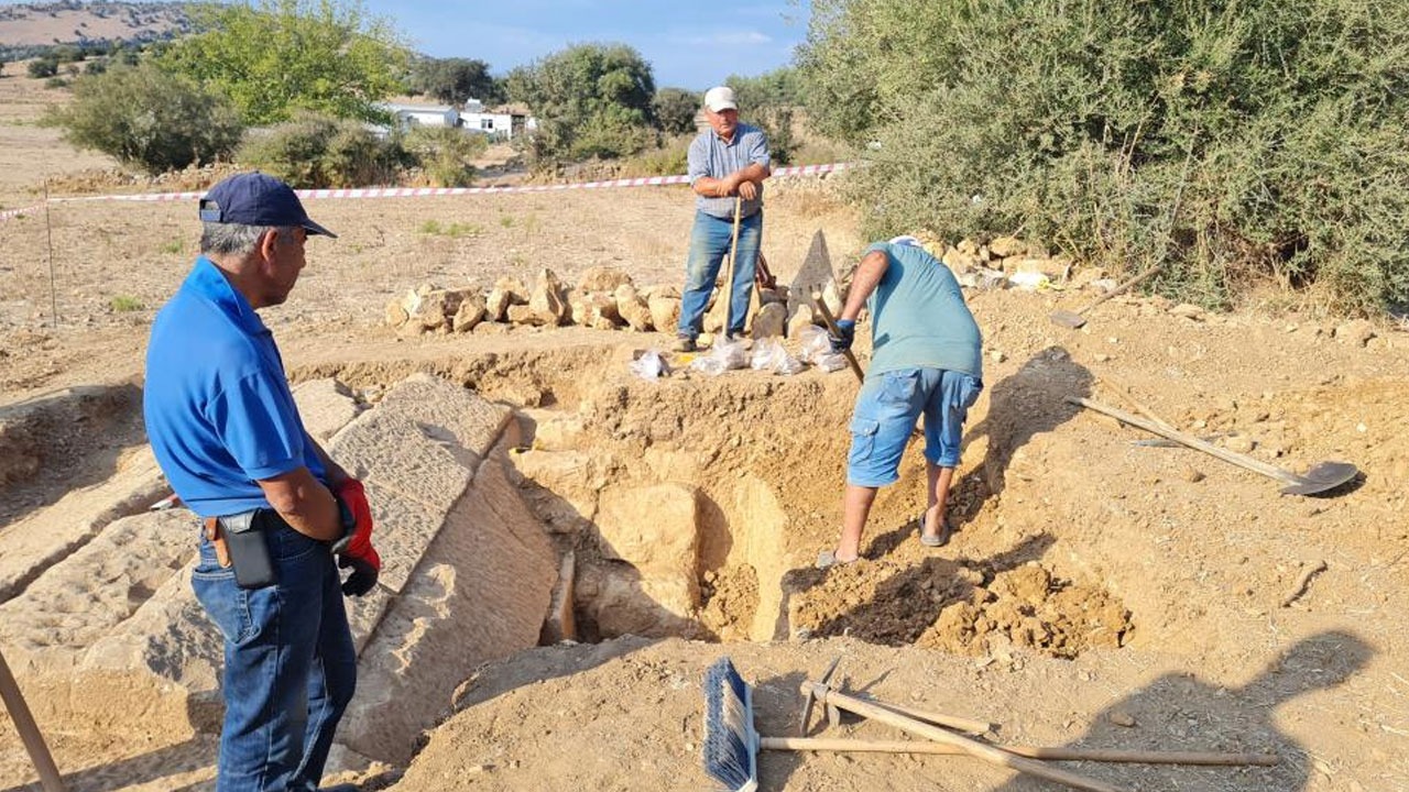 Tarlasında yürürken fark etti: Etrafını temizleyince gördüklerine inanamadı
